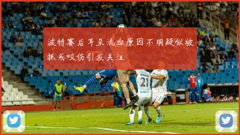 波特赛后耳朵流血原因不明疑似被抓或咬伤引发关注